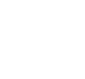 Zipline Icon